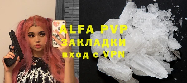 ECSTASY Ладушкин